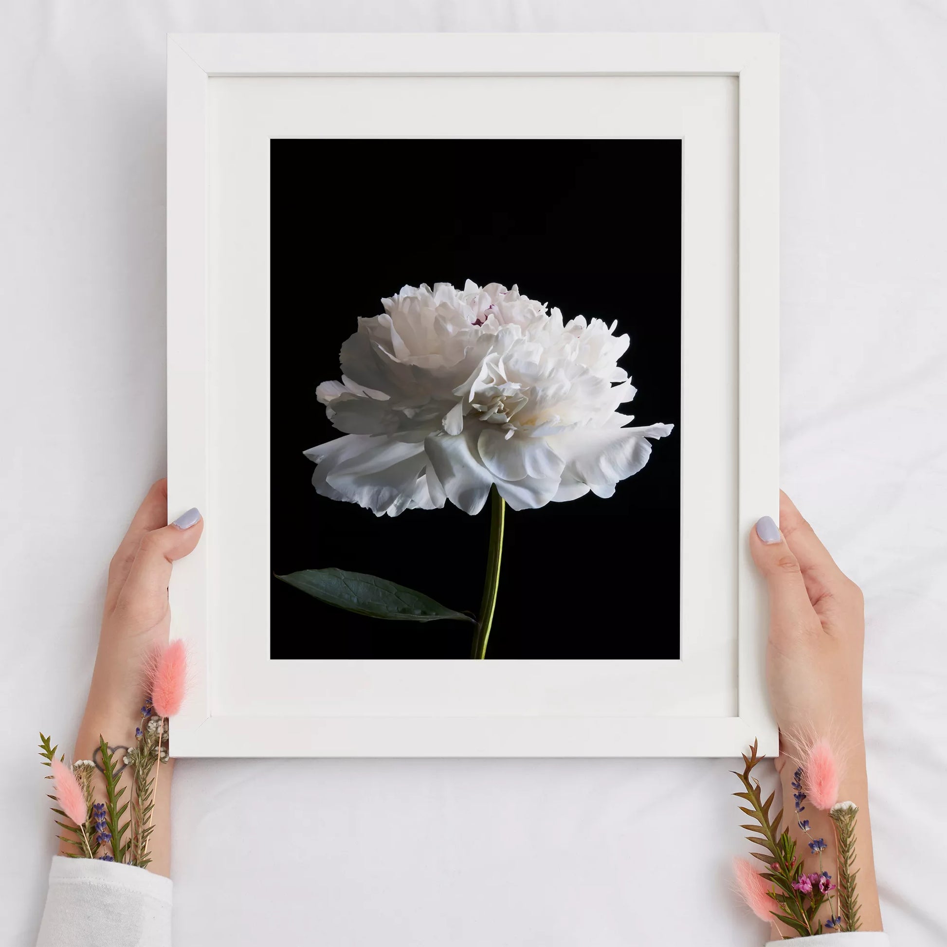 黒背景に咲く純白の牡丹の花 モダンでミニマルなボタニカルアート