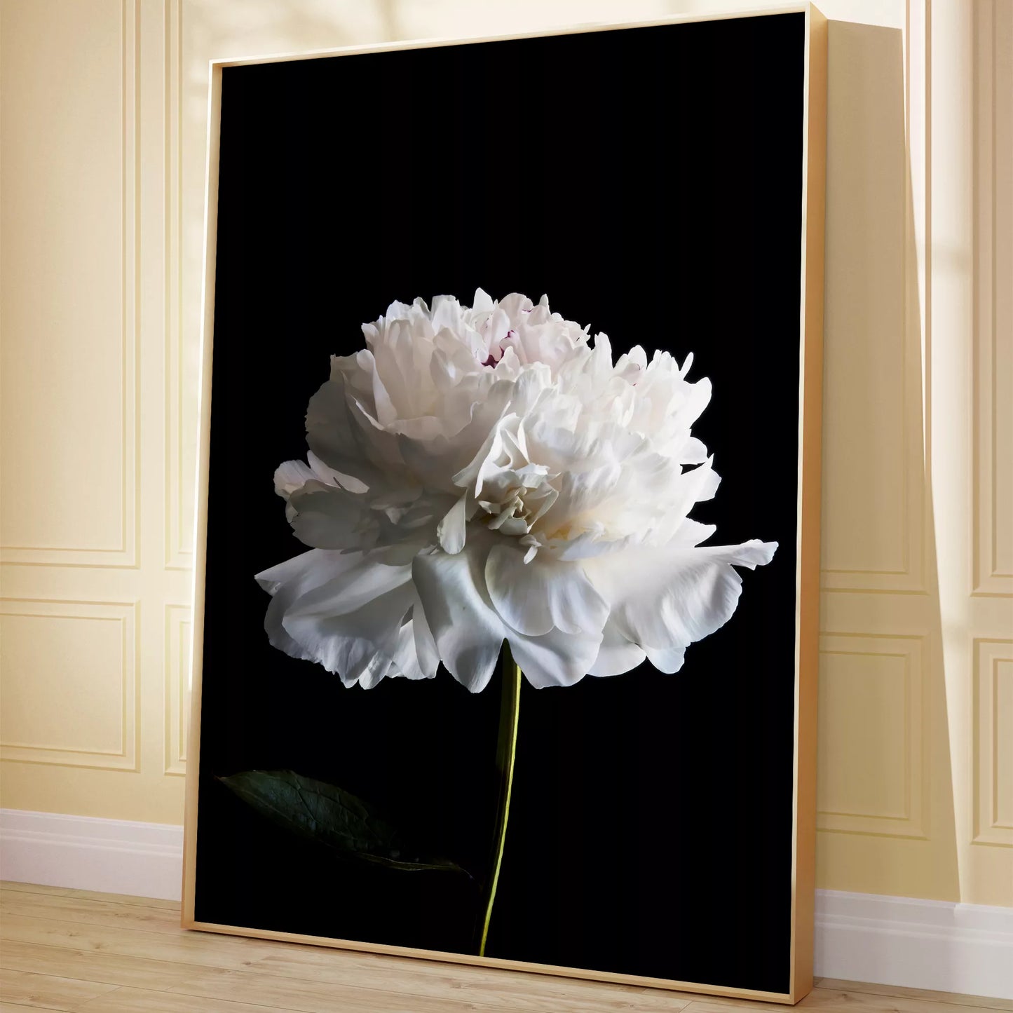 黒背景に咲く純白の牡丹の花 モダンでミニマルなボタニカルアート