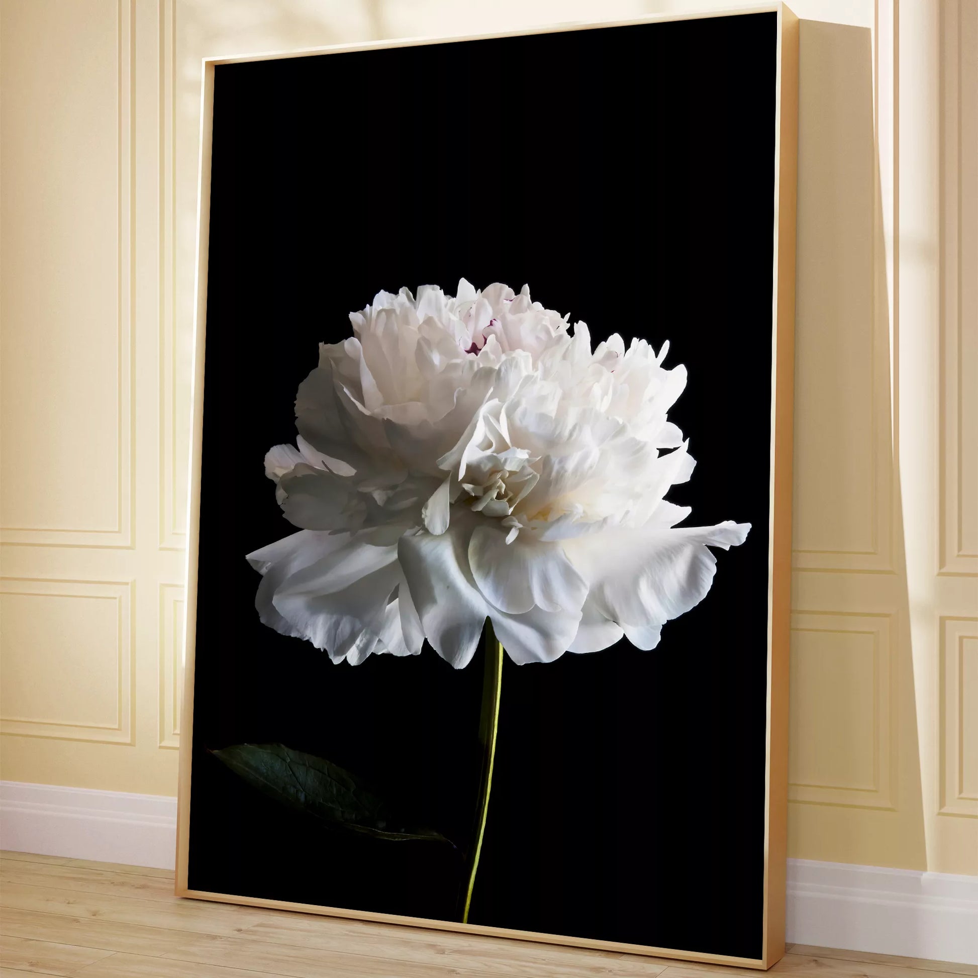 黒背景に咲く純白の牡丹の花 モダンでミニマルなボタニカルアート