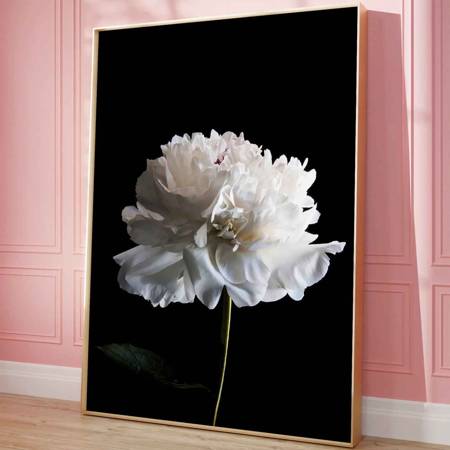 黒背景に咲く純白の牡丹の花 モダンでミニマルなボタニカルアート