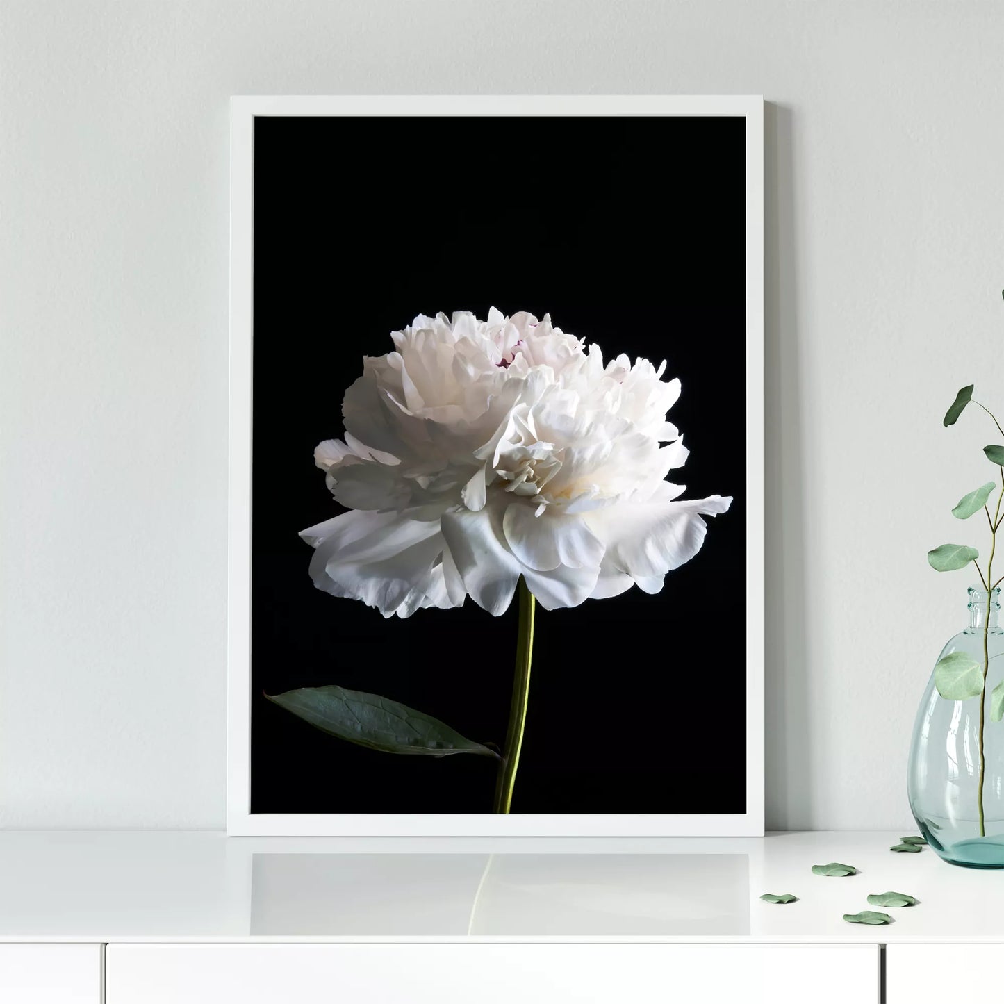 黒背景に咲く純白の牡丹の花 モダンでミニマルなボタニカルアート