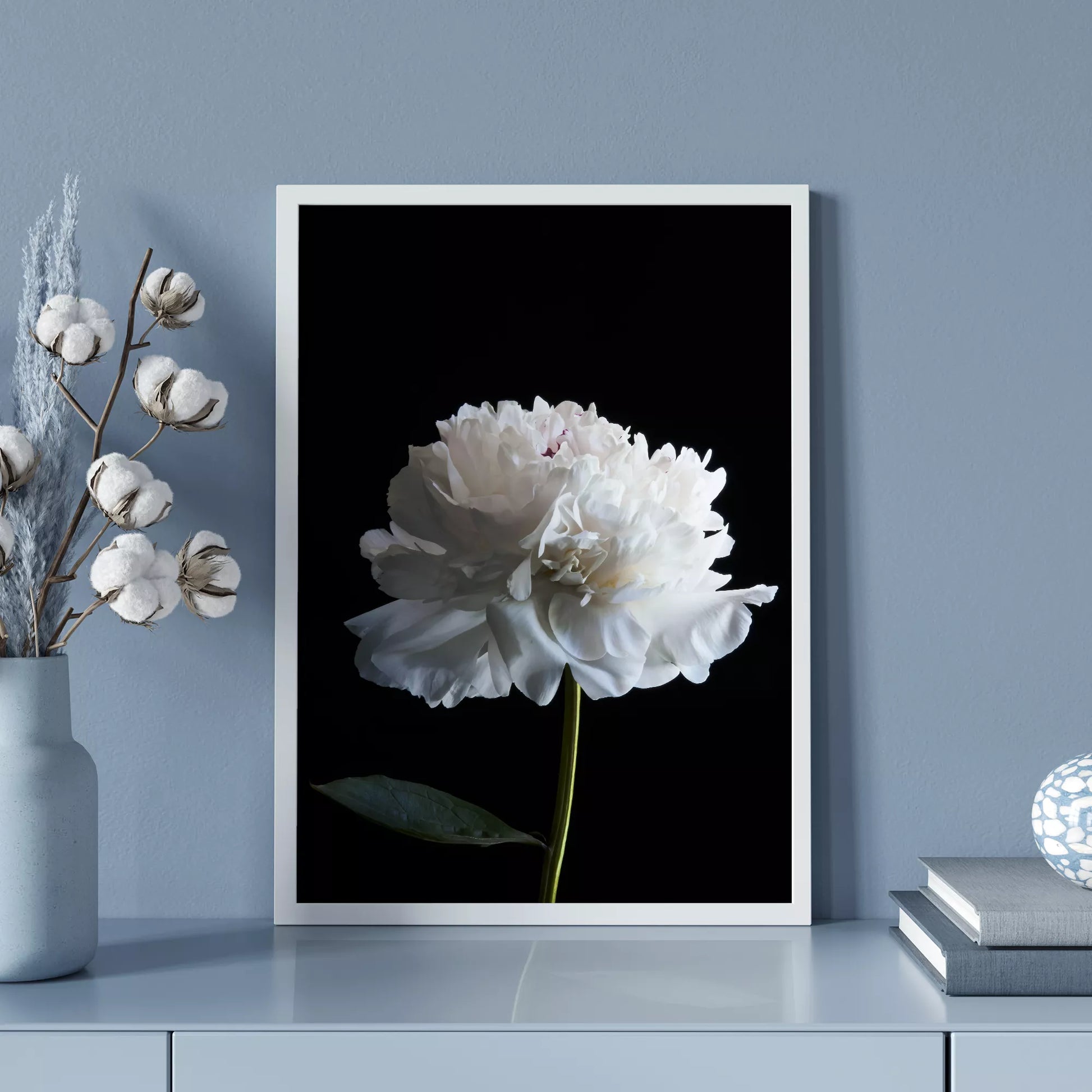 黒背景に咲く純白の牡丹の花 モダンでミニマルなボタニカルアート