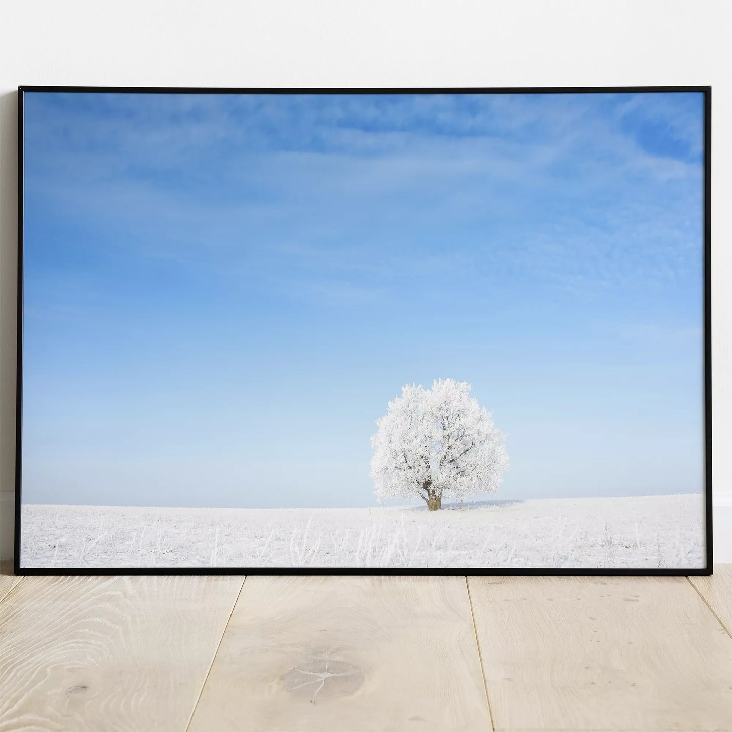 雪原に佇む霜降りの一本木と澄み切った青空の冬景色