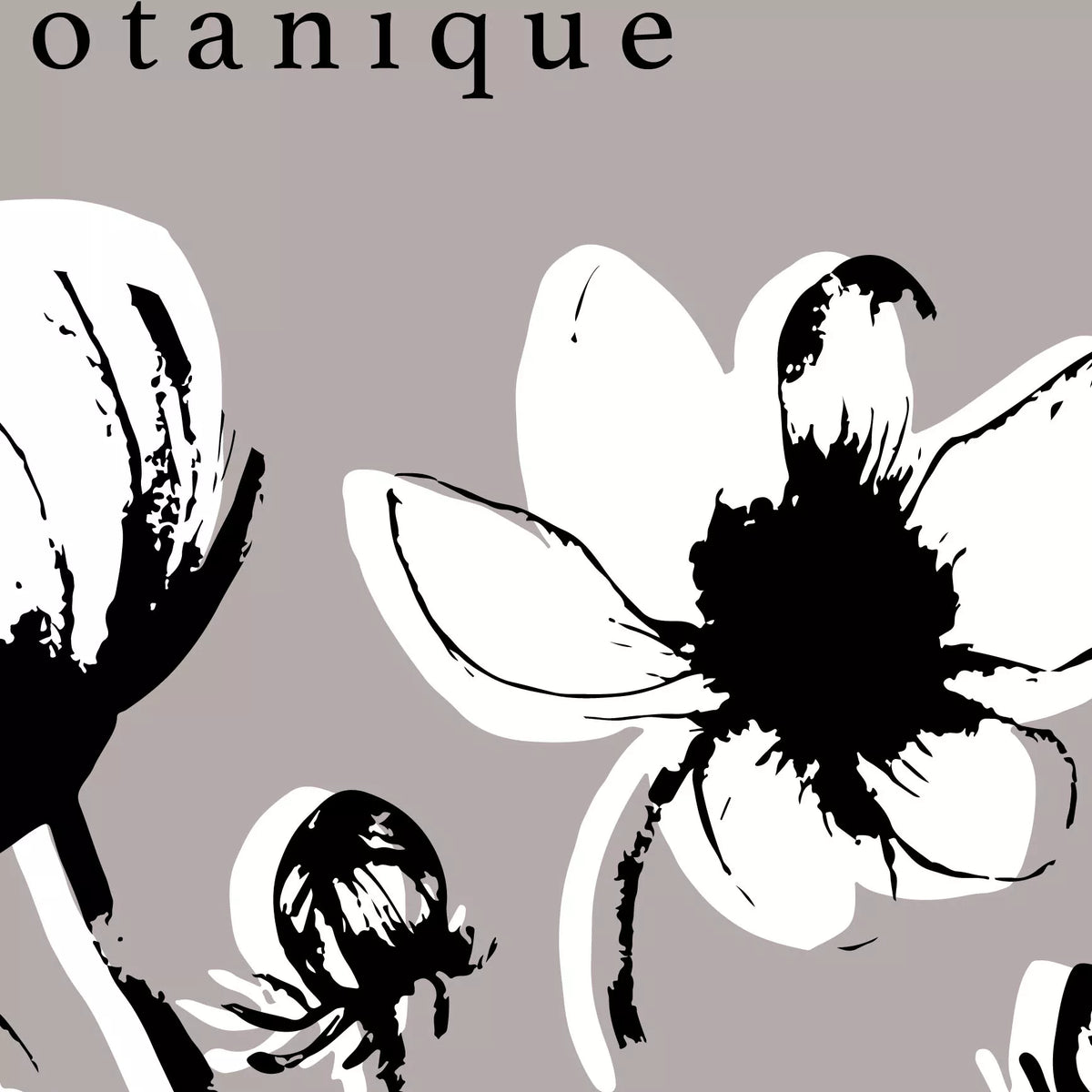 白黒の花とつぼみを描いたボタニカルアートのクローズアップ