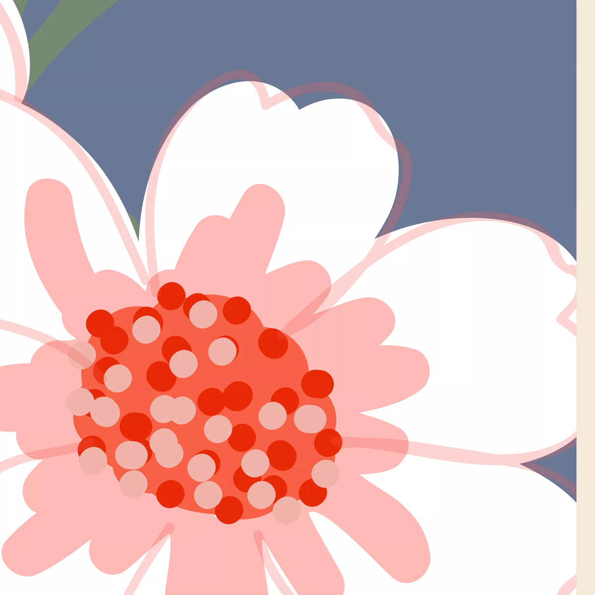 スレートブルー背景の白とピンクの花びらと赤い花芯を拡大したデザイン