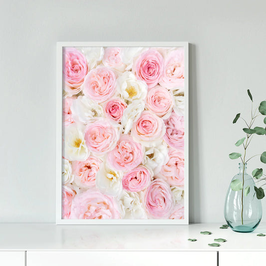 Soft-focus photography of a bed of pink and white roses