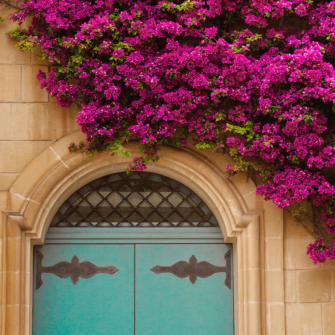 Turquoise door with vibrant purple flowers on a building facade