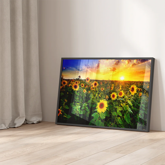 Wall art of sunflowers basking in the warm sunrise