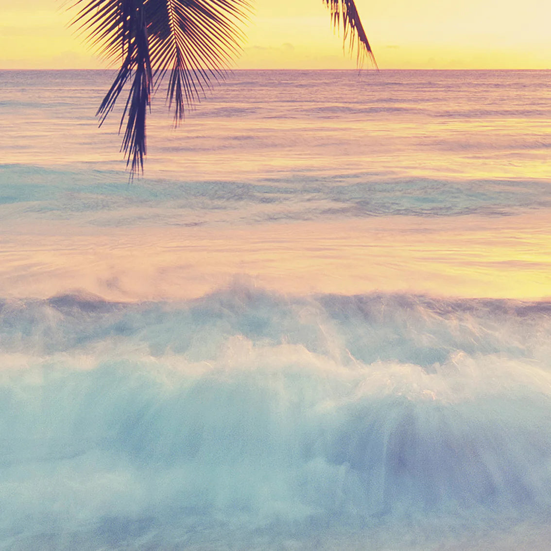 Beautiful beach landscape at dusk with palm tree silhouette wall art 