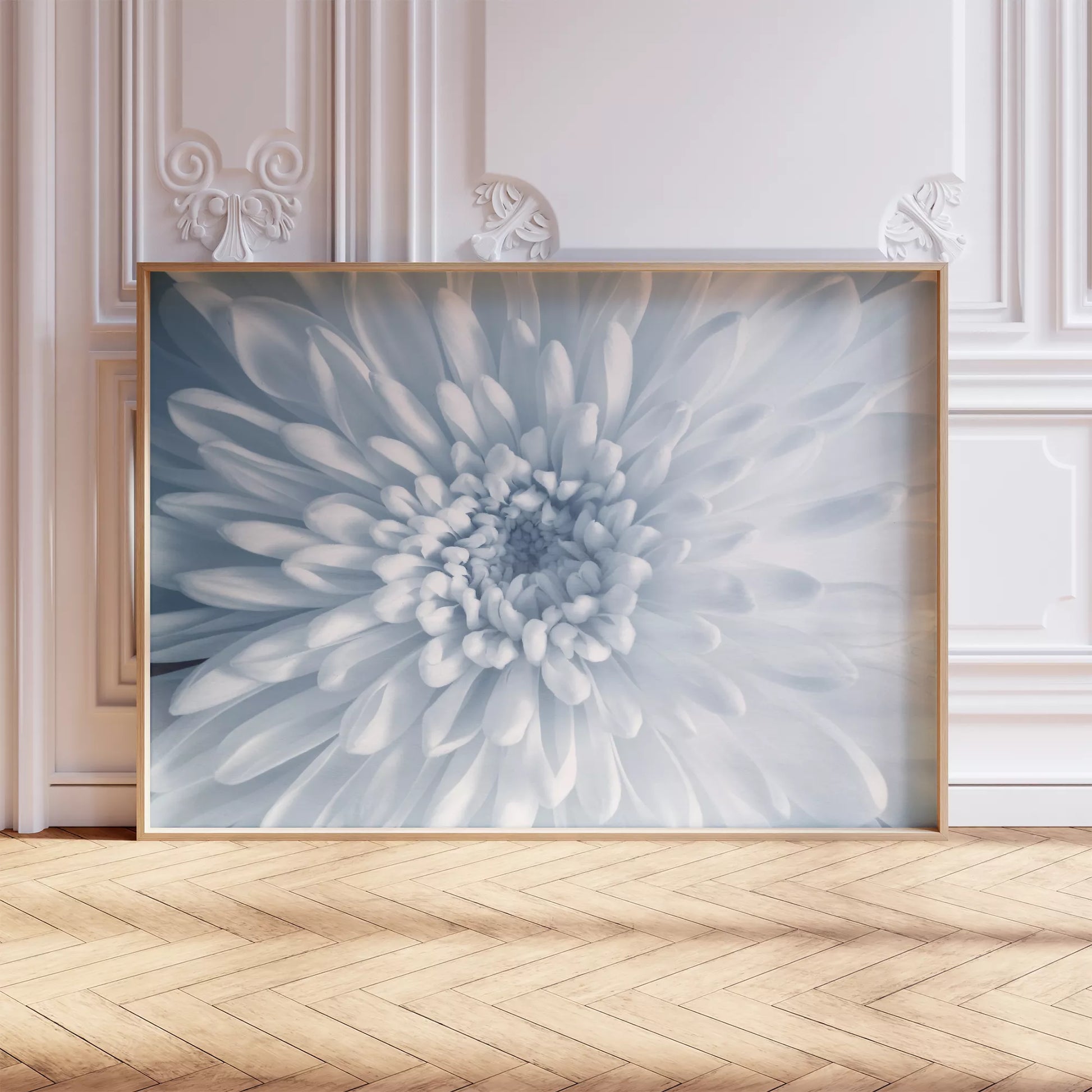  淡いブルーの菊の花のクローズアップ、モノクロームボタニカルアートポスター